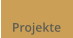 Projekte